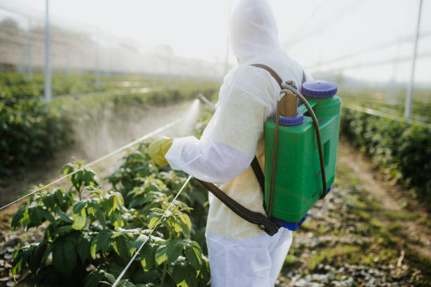 Best Cockroach Control Services  in St George, KS